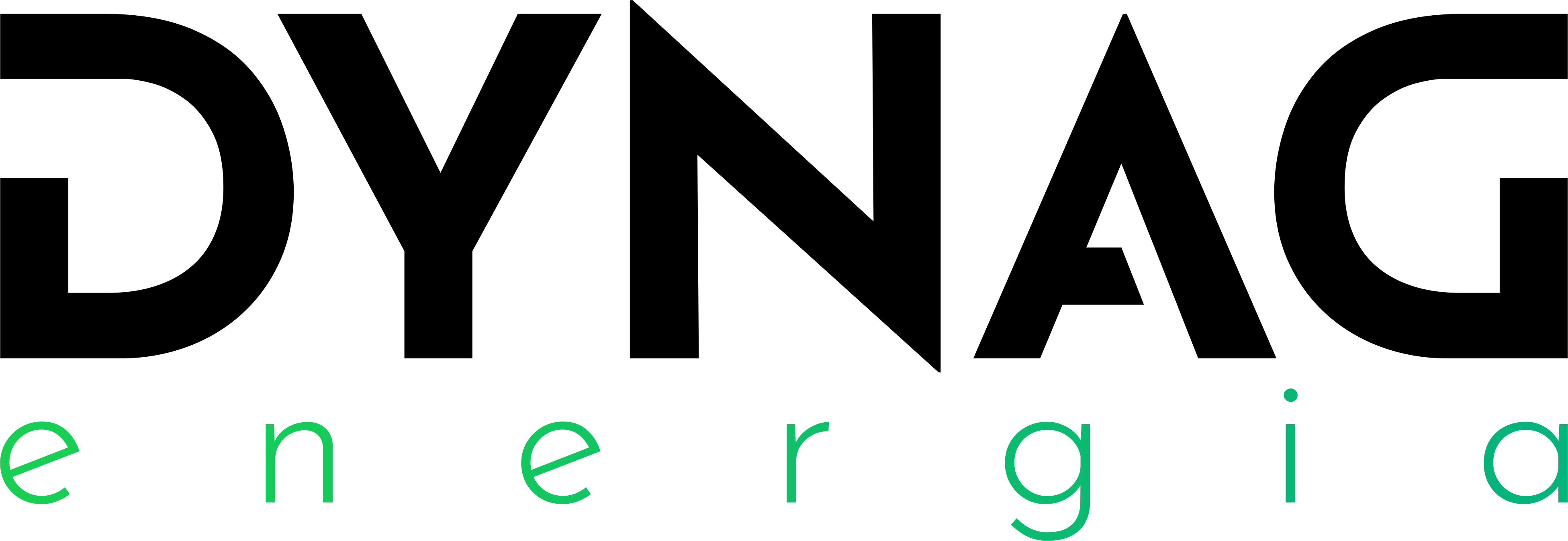 Dynag Safety